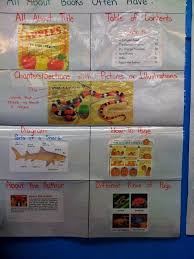 Sample Anchor Chart For All About Books Informational