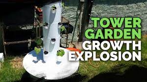 tower garden review epic gardening