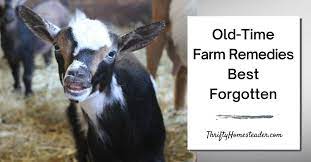 old time farm remes best forgotten