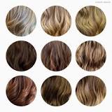 which-hair-colour-lasts-the-longest