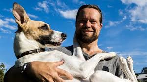 Pes, který naučil lidi žít. Gump Pes Ktery Naucil Lidi Zit Program A Vstupenky Online Kino Sokol