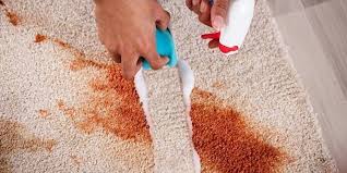 remove chocolate stains from a carpet