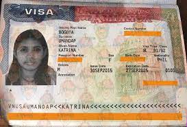 usa tourist visa application form