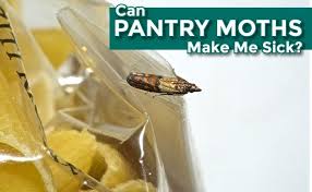can pantry moths make me sick