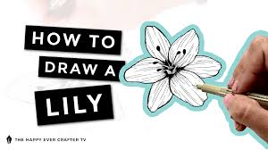 how to draw a lily the happy ever crafter