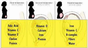 25 Specific Diet Chart In Third Trimester Of Pregnancy