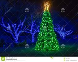 Outdoor Illuminated Christmas Tree Stock Photo Image Of