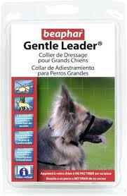 Gentle Leader Dog Collar Harness Reviews Instructions Amazon