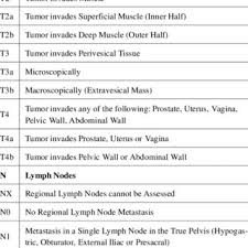 2009 Tumor Nodes Metastasis Tnm Classification Of Urinary
