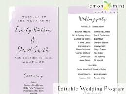 Purple Watercolor Editable Program Printable Orchid Wedding Program Violet Watercolor Program Card Lavender Theme Wedding Stationery