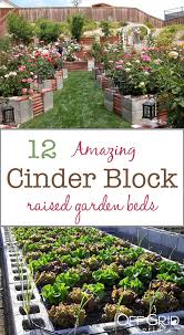 Cinder Block Raised Garden Beds