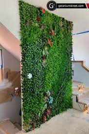 vertical green wall vertical garden