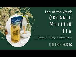 tea of the week organic mullein tea