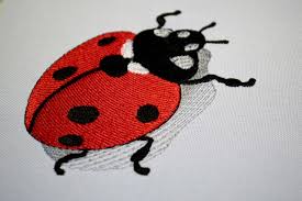 ladybug embroidery design ladybird