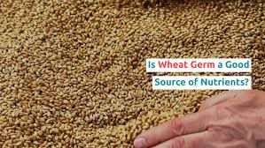 wheat germ 101 nutrition facts and