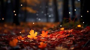 autumn images free on freepik
