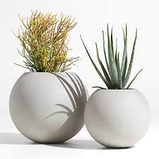 Indoor Outdoor Planters