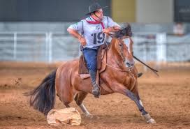 Copa Do Mundo Do Cavalo Crioulo Disputada Na Argentina 2024