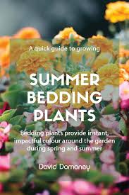 Summer Bedding Plants