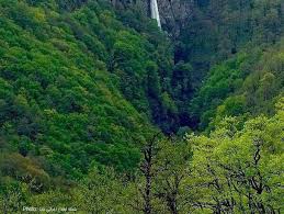 عکس/ آبشاری زیبا در دِل جنگل‌های گیلان