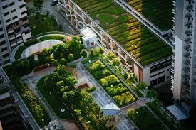 Rooftop Garden By Using Roof Metal