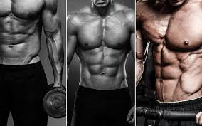 lean vs shredded what is the