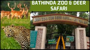 Bir Talab Zoo