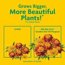 Miracle Gro Garden Soil All Purpose For