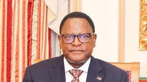 malawi president bans foreign travel