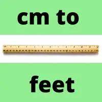cm in feet calculator convert