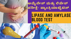 lipase and amylase blood test cost