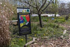 Evanston Grows Urban Garden Combats