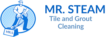 mr steam tile grout cleaning company