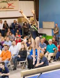 high flyers gymnasts capture state les