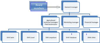 A Representative Organization Chart For Cooperative