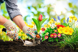 9 Tips To Prepare Your Garden For Summer