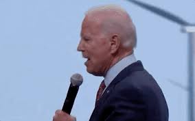Find funny gifs, cute gifs, reaction gifs and more. Joe Biden Speech Gif By Election 2020 Find Share On Giphy