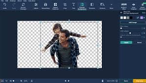 movavi photo editor review 2024 how