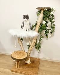 Real Cat Tree Australia
