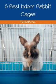 5 Best Indoor Rabbit Cages That Are