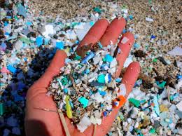 Plastic Ocean The Great Pacific Garbage Patch