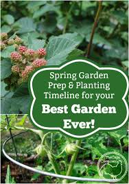 spring garden prep planting timeline