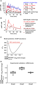 Protein Abundance Of Akt And Erk Pathway Components Governs