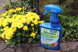 neem oil for organic gardening my