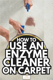 how to use an enzyme cleaner on carpet