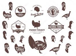 Turkey Diagram Vector Turkey Logo Icons Charts And