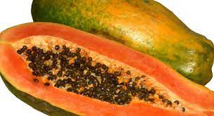Papaya | Description, Cultivation, Uses, & Facts | Britannica