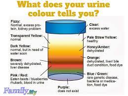 what does your urine colour tells you