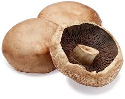 portabella mushroom at the