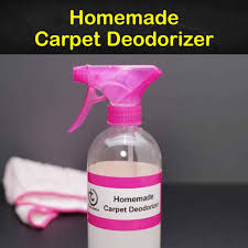 7 fast easy carpet deodorizers anyone